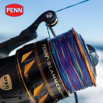 펜 슬래머4 PENN 빅게임 지깅릴 스피닝릴 캐스팅 원투낚시, 5500
