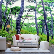 도배용품 무료 제공 소나무 뮤럴벽지 어떤 벽이든 잘 붙는 자연풍경 벽화벽지 소나무벽지 실크벽지 스티커벽지 접착벽지 벽지 붙이는 방법 동영상 제공, 패브릭 2폭 (240x230cm) + 도배용품 제공