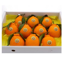 넉넉/(넉넉)한라봉 선물세트 2.5KG 중과(10-16과 내외)/롯데백화점, 1개