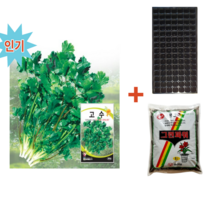 고수씨앗 300립-1봉+파종트레이+파종용토 향채씨앗종자 coriander 다기능효용