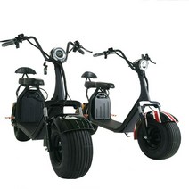 일렉모터스 전동스쿠터 듀얼모터 시티코코 국내배송 AS전문 1500W, 1개, 1500W(블랙 12AH 추가)
