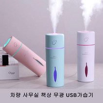 병원 사무실 차량 LED 탁상용 USB 가습기 정전기방지, SLJ001 화이트