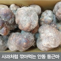 (햇마)안동 둥근마 상품 5kg (정직을 배달합니다), 안동 둥근마 상품 5kg
