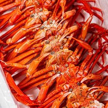 [선주직송] 포항 구룡포 제철 연지 홍게 수율보장 자숙 홍게, B급 라면용 수율50%내외2kg, 1개