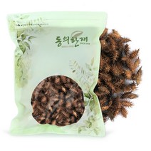 동의한재 자연산 국산 햇 저온 볶은 도꼬마리 창이자 독고마리 600g, 단품