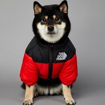 경량 강아지 명품 올인원 발열 패딩 SUPREPET 패드 겨울 옷 따뜻한 바람막이 솔리드 코트 코튼 디자이너 대형견 액세서리, L, 빨간