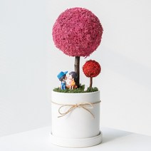 공기정화식물 스칸디아모스 천연이끼 빅플랜트 화분 청정식물 플랜테리어 대형 토피어리 개업선물 집들이선물, 03_씨클라멘