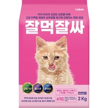 [개똥이네][중고-상] 달을 먹은 아기 고양이