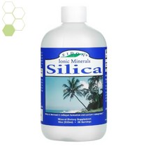 EIDON 실리카 SILICA 16OZ, 1