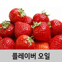 엔피솝 딸기 플레이버오일-립밤만들때첨가 DIY 만들기, 딸기 플레이버오일10ml