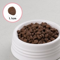오리젠 애견사료 퍼피 6kg