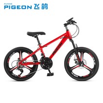 풀샥 자전거 MTB 카본 하드테일 다운힐 팻바이크 광폭, 21 ying Pigeon S