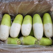 달달하고 아삭한 제주 월동무 김장용 제주무 5kg 10kg 20kg [노블프레쉬], 제주 월동무 10kg(약 5~7개)