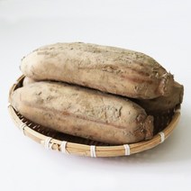 알찬연근팜 햇연근 특품 1kg 3kg 5kg 10kg 15kg 가성비 좋고 .아삭 달달한 국내산 연근