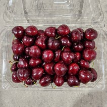 [항공직송] 프리미엄 체리 달콤한 생 체리 특상, 1팩, 500g