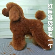 비숑 위그 애견미용 연습 전체 위그 털 머리 모델 미용사 자격증, VIP브라운업그레이드헤어