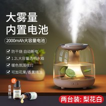 가열식가습기 웰포트 가열식 가습기 휴대용 무음 침실﻿ 2대 세트, D (2대 세트)