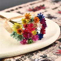 30Pcs 말린 꽃 U 필러 미니 질 스타 국화 꽃 DIY 에폭시 금형 예술 공예 보석 만들기, 11 Mixed Color-30Pcs