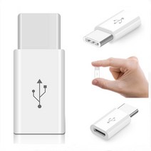 USB 3.1 C타입 젠더, 1개