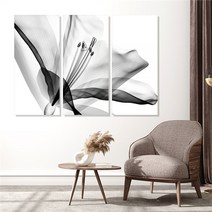 모던하우스 꽃 3분할 액자세트 소형 3세트(1pcs 30x70cm), 4.릴리B