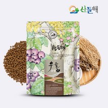 산들해 국내산 우슬환 우슬닭발환, 500g, 1개