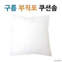 구름 실크 쿠션솜l 쿠션 l 압축포장 l 쿠션솜45 PTH, 유화쿠션커버(와인)