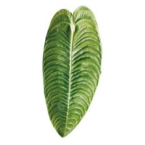 식물 소켓 접이식 그립 Tok Pretty Leaf 아크릴 전화 홀더 아이폰 13 범용 스마트 폰 그립 토크 브래킷 손, Y-8