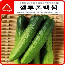 아시아종묘 젤루존백침 오이 씨앗종자 오이씨 오이씨앗, 500개