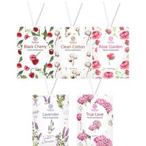 OB 올레비엔 옷장 종이뱡향제 센티드 사쉐 소 5종택1, 블랙체리 10g 10개묶음