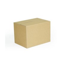 AN 1BOX B형 택배 포장박스 (E골/일반지/170x120x120mm/200매)