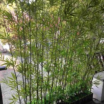 인조대나무 여름 장식 거의 자연 인공 식물 인조 나무 잎 가정용 플라스틱 잎 50 피스, 01 Light Green_01 16x13cm, Light Green