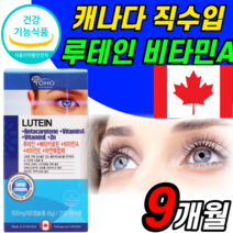 루테인 복합 마리골드 추출물 20mg bilberry lutein 눈 영양제 추천 홈쇼핑 류태인 류테인 약 X 뉴태인 누태인 뉴테인 누테인 루데인 르태인 루태인 류태인 류테인