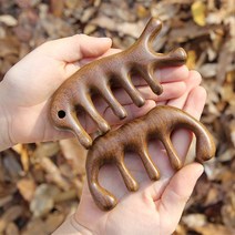 에코아미 두피괄사 우드 괄사빗 마사지, 2종 1세트