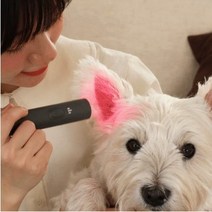 제디 UV펫큐어라이트 강아지 고양이 염증치료기 귀염증 중이염 귓병예방 귀 관리기