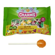 참스미니팝 150g