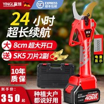 가지치기 가위 전동 전자 조경 충전 톱 나무 꽃 원예 과일 충전식 리튬, A