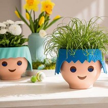 마이플랜트 독일 플레이모빌 얼굴 레츄자 화분, 라벤블랙