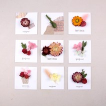 미니 드라이플라워카드 DIY 키트, 상세 설명 참조