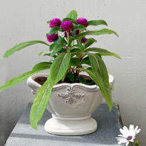 일일미학 로코코 프렌치 앤틱 도자기 화분 3종 & 화병, 중형 와이드