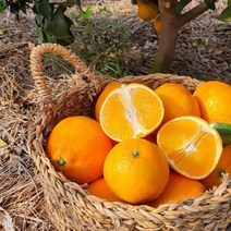 로하라 마씸 제주도 감귤 과즙 하우스귤 과즙 풍부 맛좋은 황금향 2.5kg 4 5kg, 4.5kg