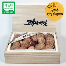 식탐대첩 명절 선물세트 VIP 당일수확 무농약 고송버섯 약1.8kg, 1