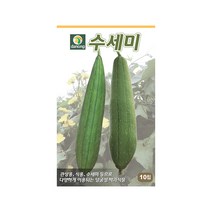 덩굴성 수세미 씨앗 10립 박과식물 관상용 식용, 단품