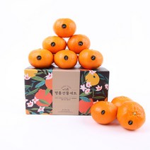 감동 제주 고당도 블랙라벨 레드향 소과 1kg 7과 내외 벌크 (2개구매시2.5kg발송), 1