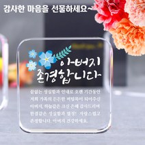아이상패 리틀사각 감사패 빠른발송 부모님 감사패 어버이날선물 상패 크리스탈상패 미니상패, 9-리틀사각-축하(완성형)
