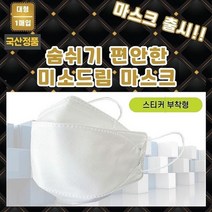 판촉물/1000개/국산정품 KC인증 4중필터 대형 마스크 스티커인쇄일회용마스크/로고인쇄 도매제작 제조 기념, 기본수량1000개구매시, 인쇄없음