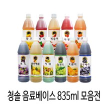 음료베이스모음835ml수박/레몬/딸기/청포도/자몽/사과, (FL) 1