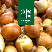 23년 무안 햇양파 3kg 5Kg 10Kg 소/중대혼합/특, 햇양파5Kg 소, 1개