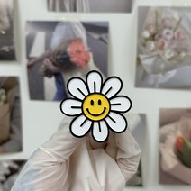 스마일 데이지 석고방향제 차량용방향제 디퓨저, 헤스페리데스