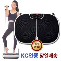 EMS 저주파 진동 운동기 음파진동기 쉐이크보드 실내 운동기구 덜덜이 DR-3700, 진동운동기 DR-3700, 혼합색상