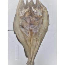 23년 동해안 명절 대 특대 대구포 염대구 대구 염대구포 대구포찜 대구포전 대구포구이, 1개, 특대 750g내외